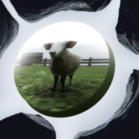 Crazy Cattle 3D