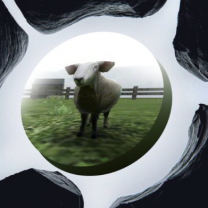 Crazy Cattle 3D Crazy Cattle 3D img