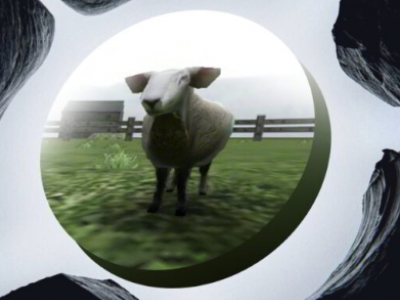 Crazy Cattle 3D background